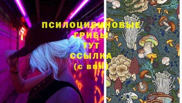 трава Зеленодольск