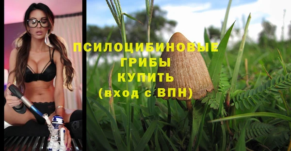 трава Зеленодольск