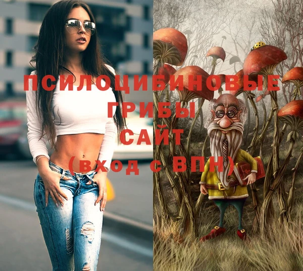 mix Нестеровская