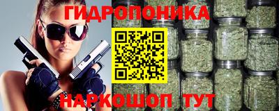 прущие грибы Владикавказ