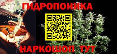 не бодяженный Кингисепп