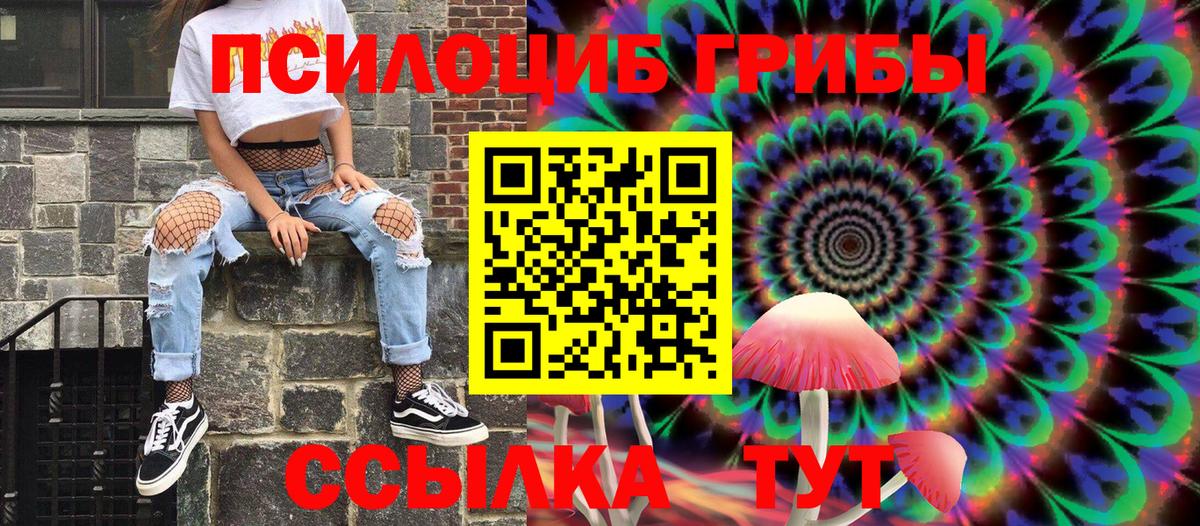 Галлюциногенные грибы Psilocybe Стрежевой