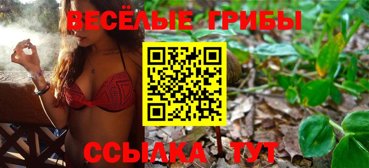 Стрежевой  Псилоцибиновые грибы прущие грибы  Вход с VPN 
