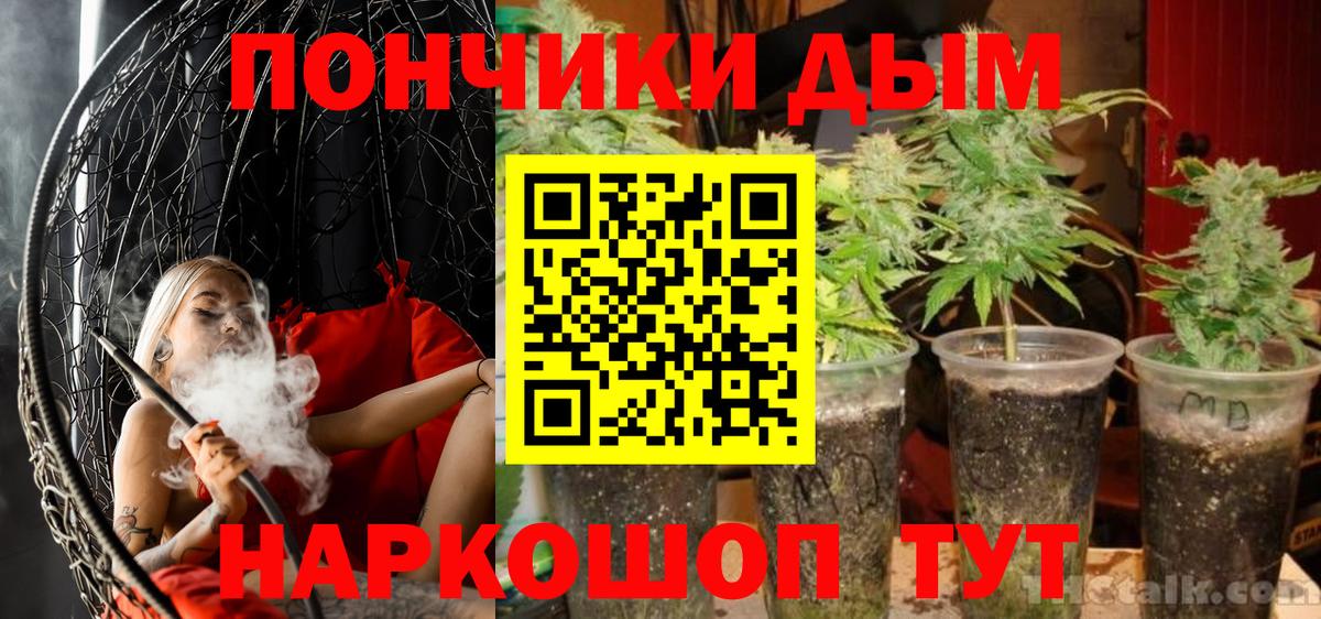 Бошки Шишки сатива  Канабис сатива  Стрежевой  Вход с VPN  Каннабис THC 21% 
